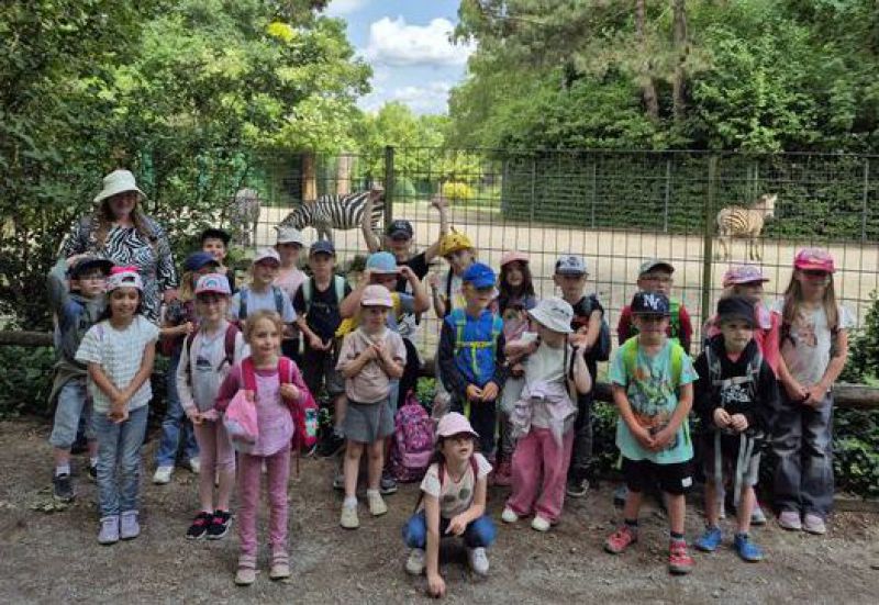 Die Zebraklasse im Zoo